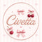Civetta by Vane – Inicio